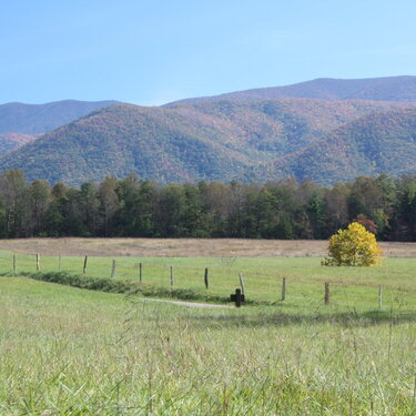 Cades Cove - One of my favorite places!