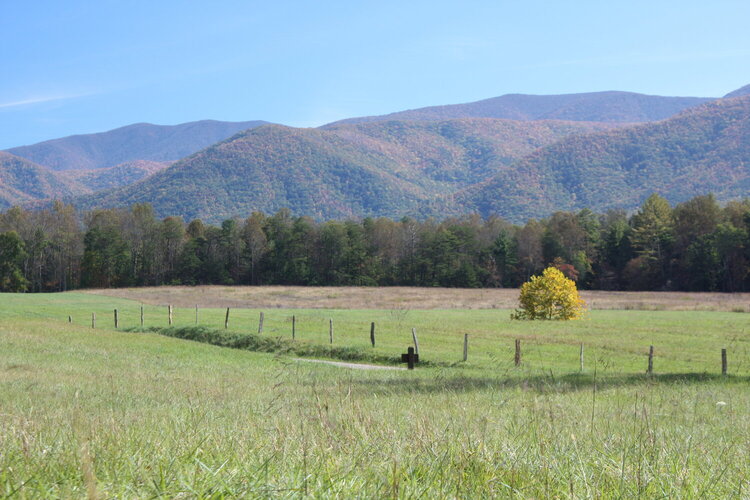 Cades Cove - One of my favorite places!