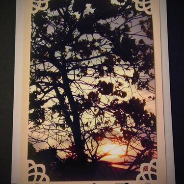 Photo Card --Sunset