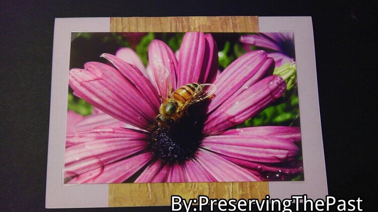 Photo Card --Bee on Flower