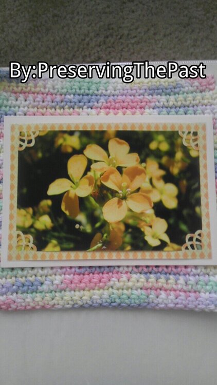 Photo Card -- Yellow Flowers