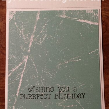 Purrfect Birthday -- Inside