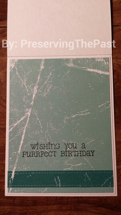 Purrfect Birthday -- Inside