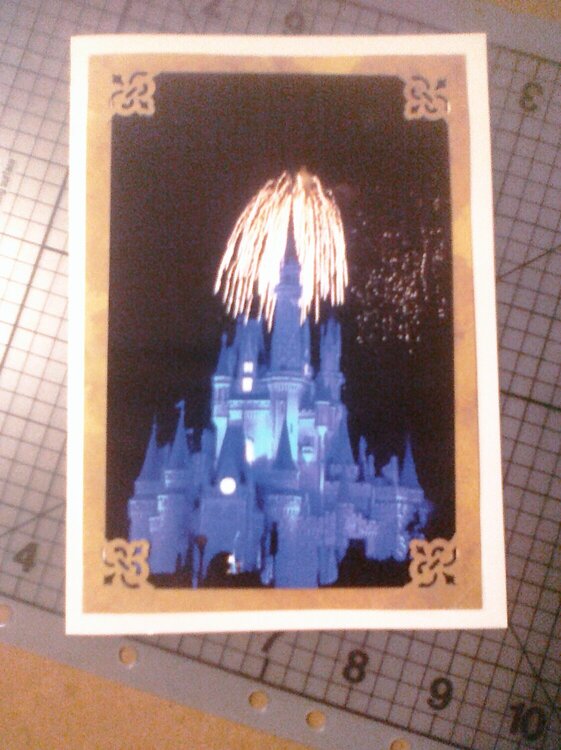 Photo card -- Cinderella&#039;s Castle