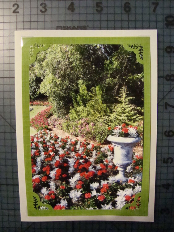 Photo Card -- Garden Scene