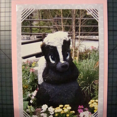 Photo Card -- &quot;Flower&quot;