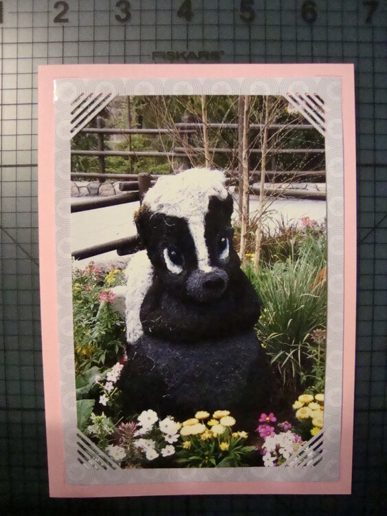 Photo Card -- &quot;Flower&quot;