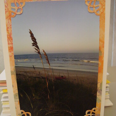 Photo Card -- Sea Grass at Dusk