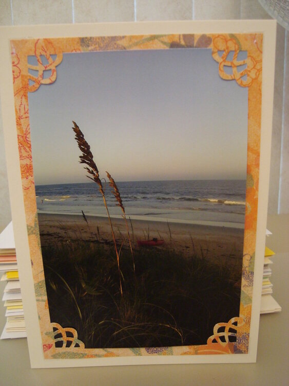 Photo Card -- Sea Grass at Dusk