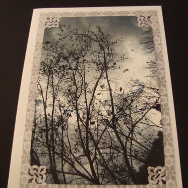 Photo Card -- Dark, Cloudy Sky
