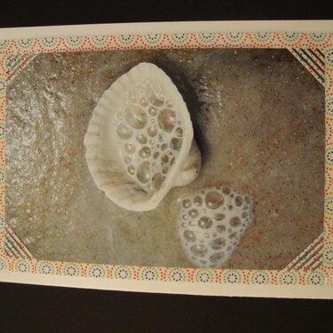 Sea Shell Photo Card