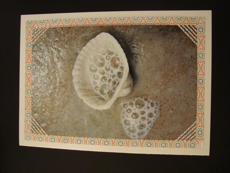 Sea Shell Photo Card