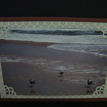 Photo Card -- Sandpipers on the Sand