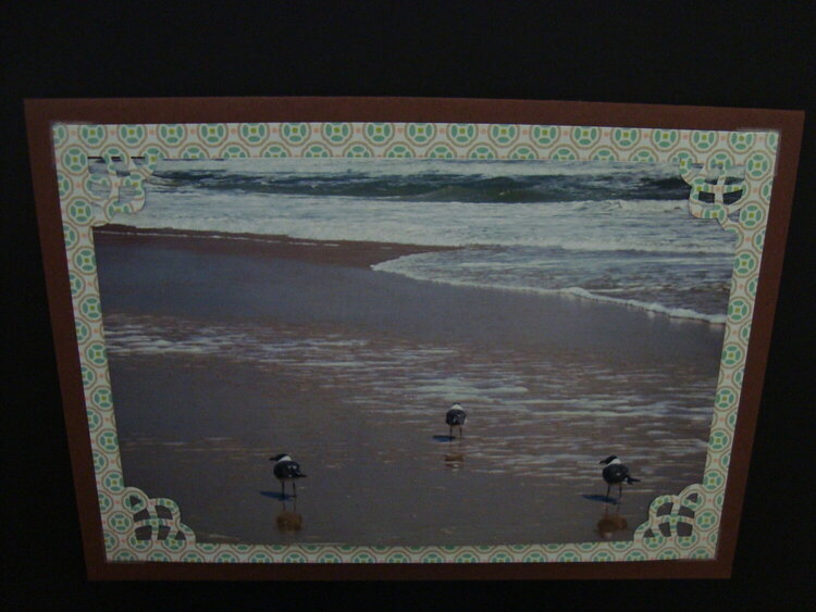 Photo Card -- Sandpipers on the Sand