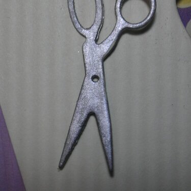 Close-up Scissors