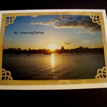 Photo Card -- Sunset on a Solitary Bird
