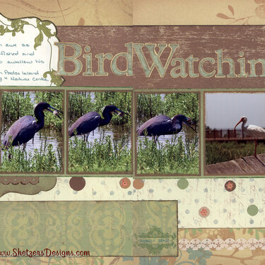BIRD WATCHING