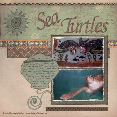 SEA TURTLES