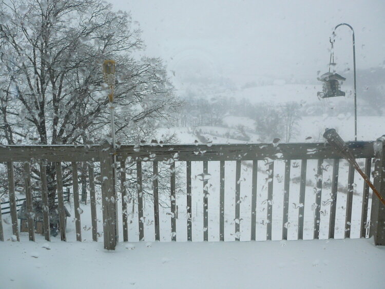 snow 2/25/11