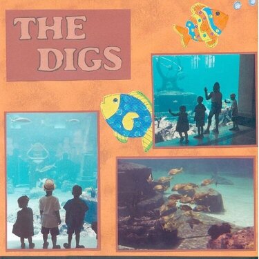 "The Digs" photos from Atlantis Resort Aquarium