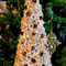 Blossom and Burlap Christmas Tree for Donna Salazar