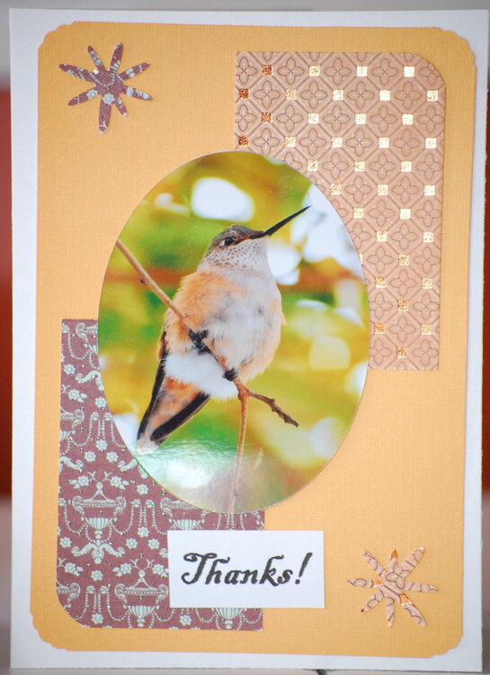Hummingbird thank you card