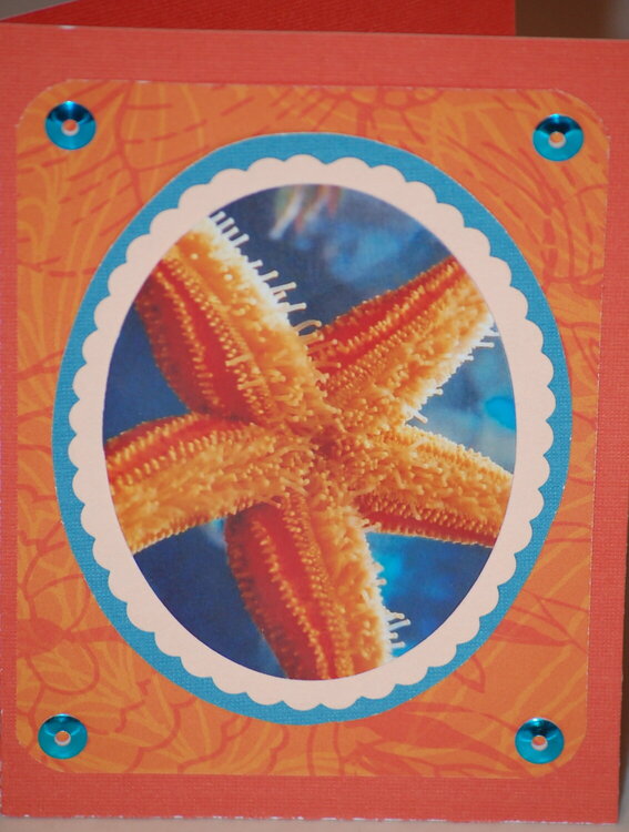 Starfish