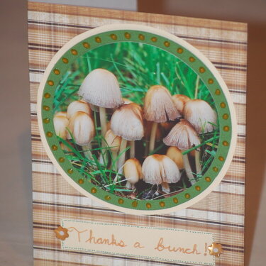 Thanks a bunch - mushrooms