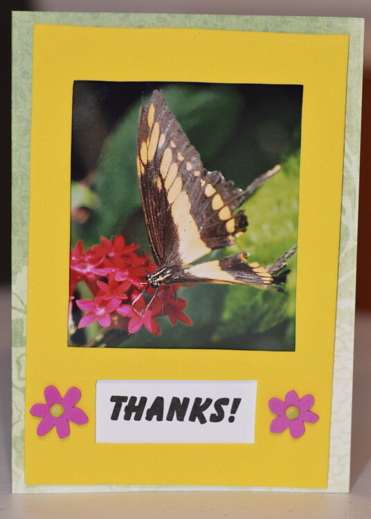 Yellow butterfly card