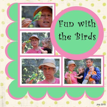 Fun With the Birds