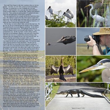 The Everglades - page 2