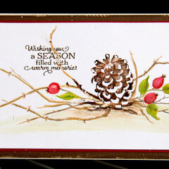 Seasonal Wishes