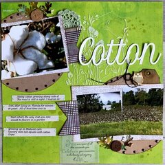 Cotton- my favorite fabric