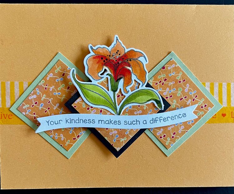 Kindness Project Idea