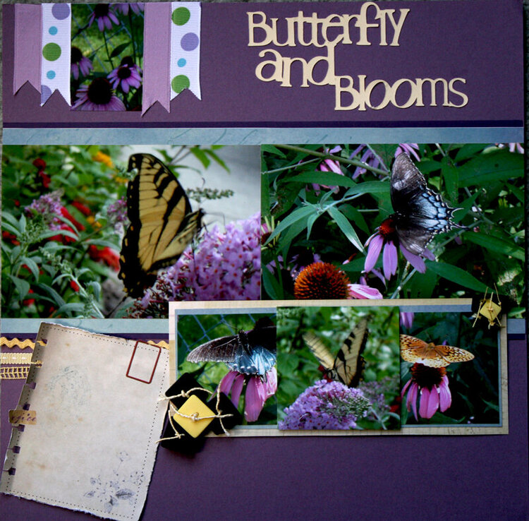 Butterfly and Blooms