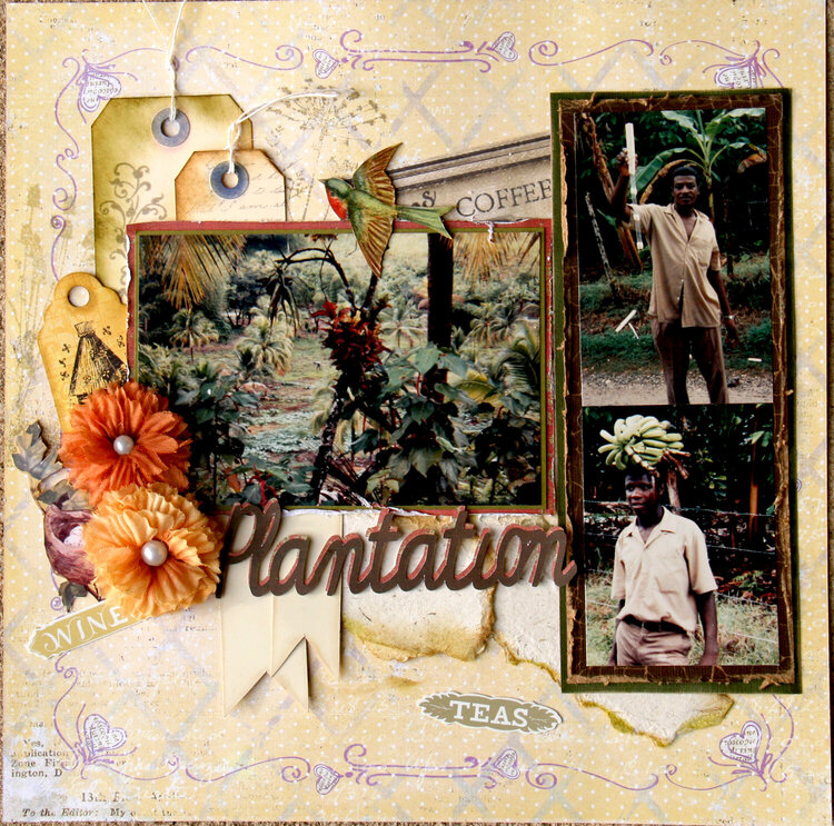 Jamacia Plantation