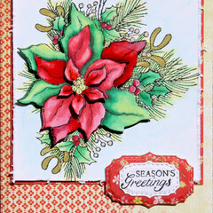 Season Greetings - poinsettia