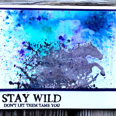 Stay Wild