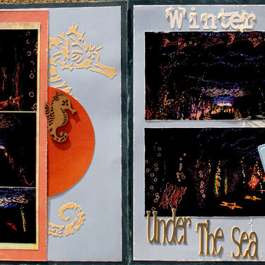 Winter - Under the Sea