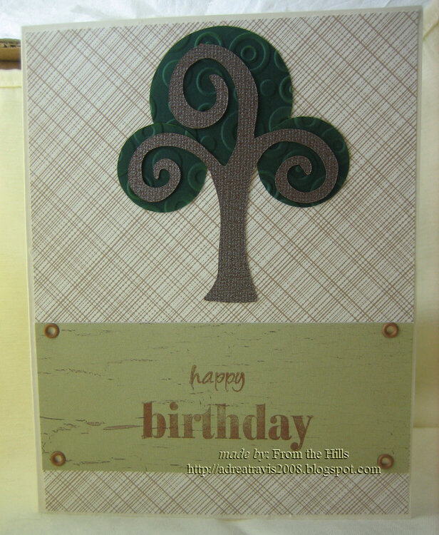 Male Bday Card