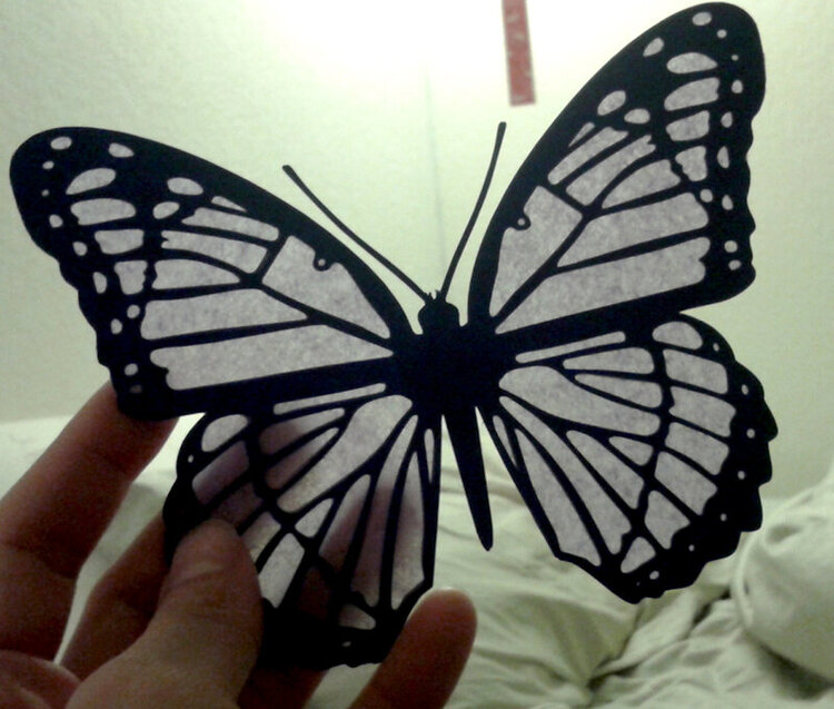 Experimental butterfly