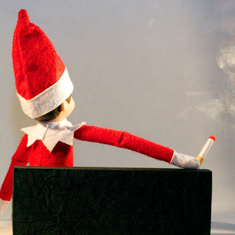 Elf on the Shelf does TV!
