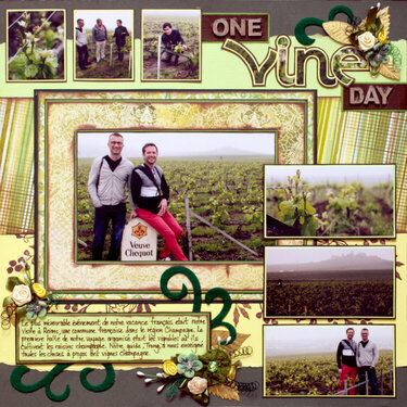 One Vine Day