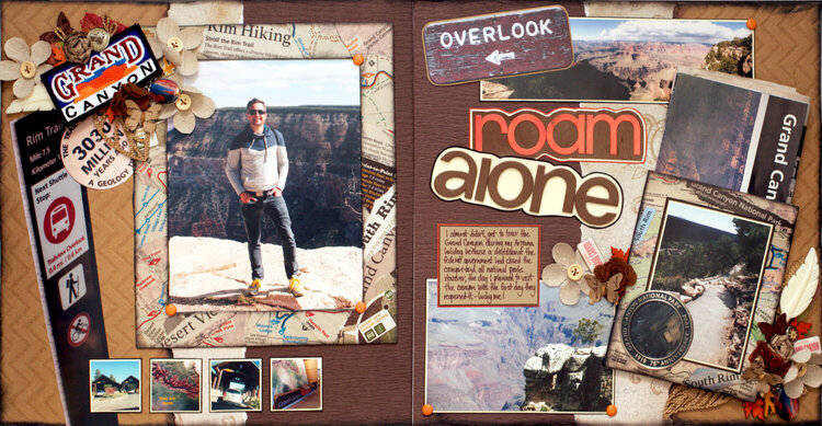 Roam Alone / Rock &amp; Awe