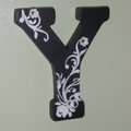 The 'Y' for Yami duh!!!
