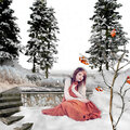 Winter scenery overlays by Eena Creation