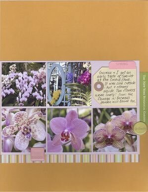 The Orchid Show - Jamie Waters Recipe #3 