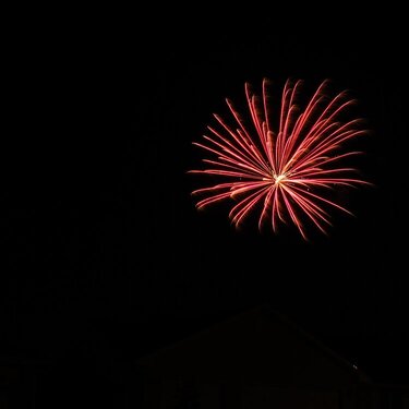 Fireworks last night in our neighborhood~~July 3, 2011