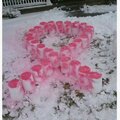 snow pink ribbon