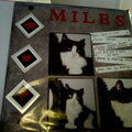 Miles-Photogenic